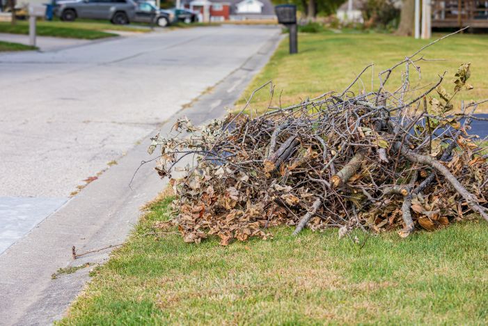 Brush Clearing