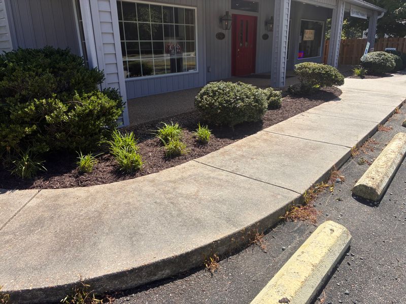 Shrub and Plant Trimming