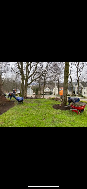 Mulch Installation