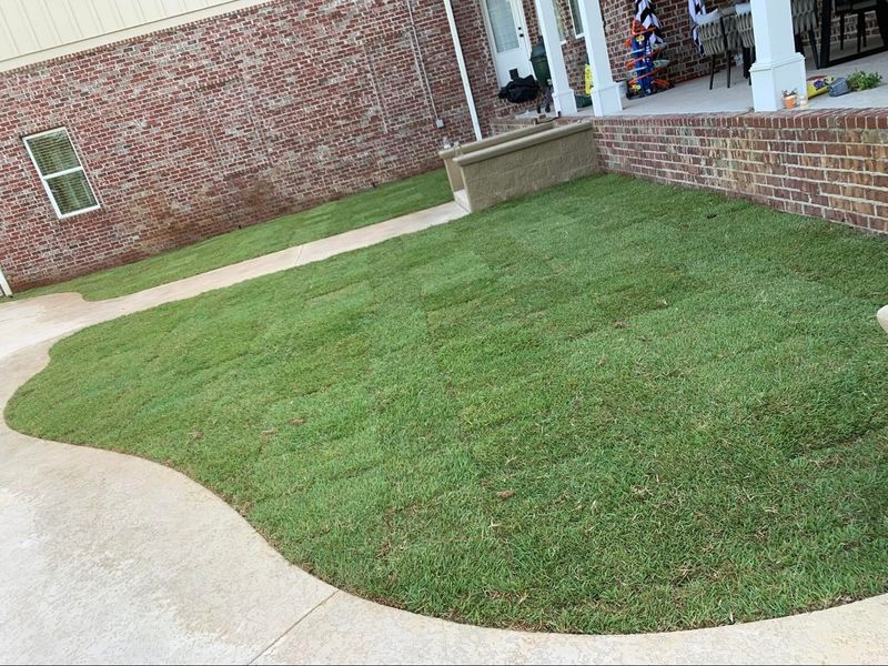 Sod Installation