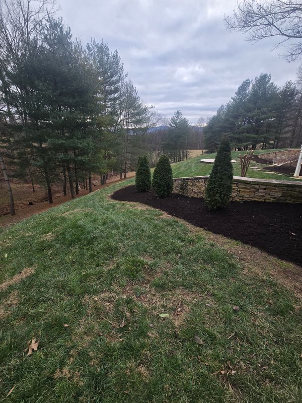Landscape Installation