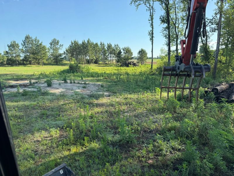 Land Clearing