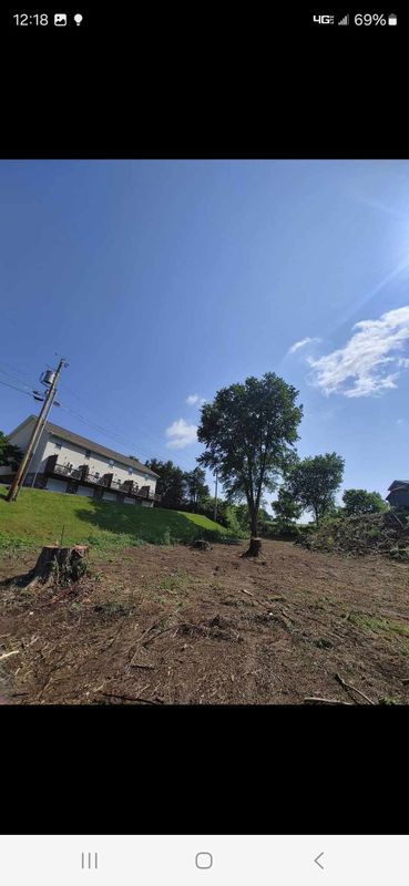 Land clearing