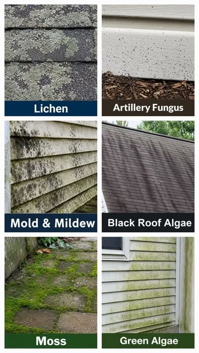 Power Washing