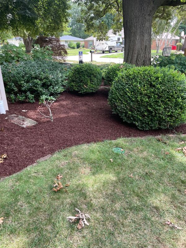 Lawn Maintenance