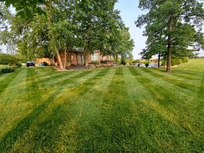 Lawn Maintenance