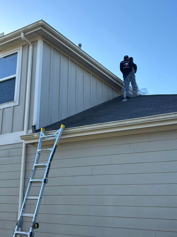 Commercial Pest Management