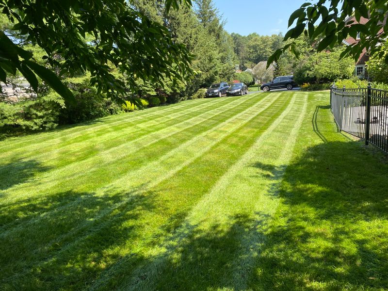 Lawn Maintenance