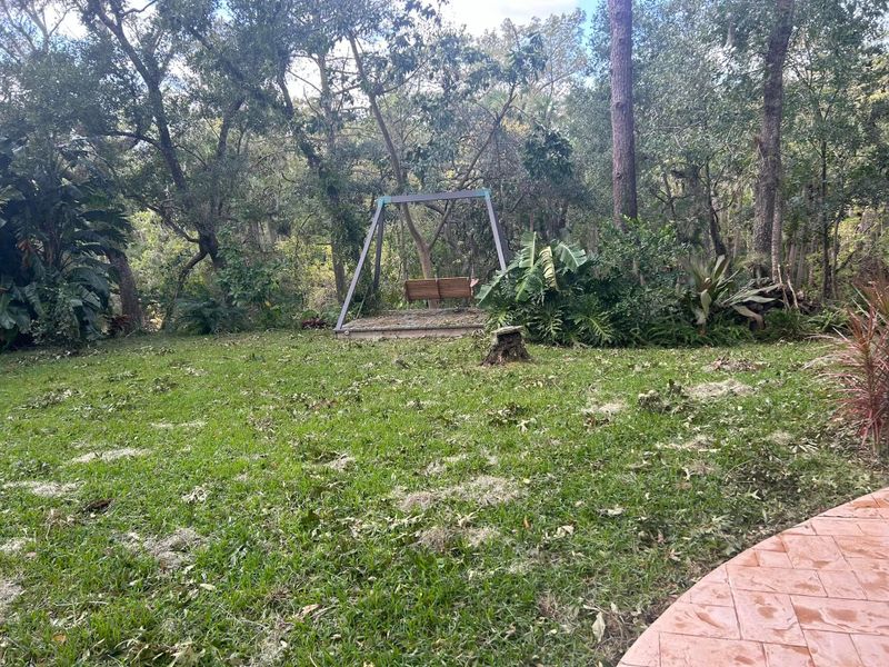 Lawn Care and Maintenance