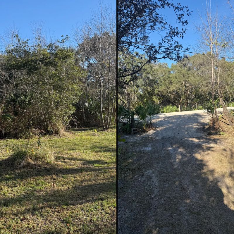 Land Clearing