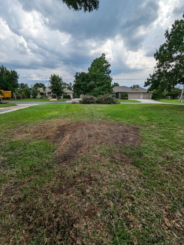 Stump Removal