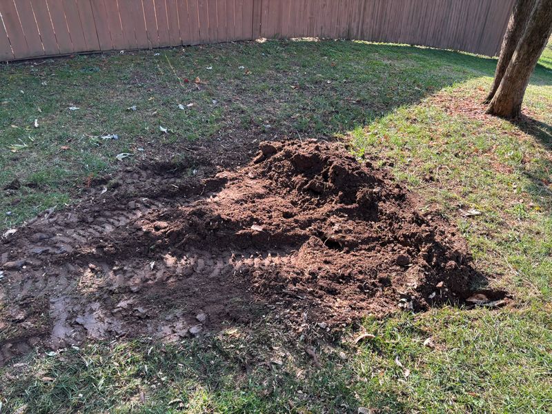 Stump Removal