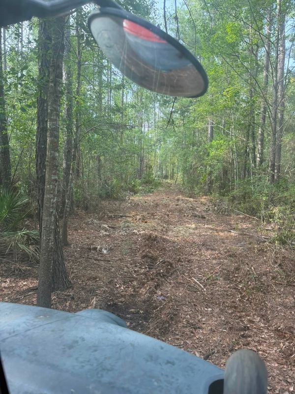 Land Clearing