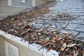 Gutter Cleaning