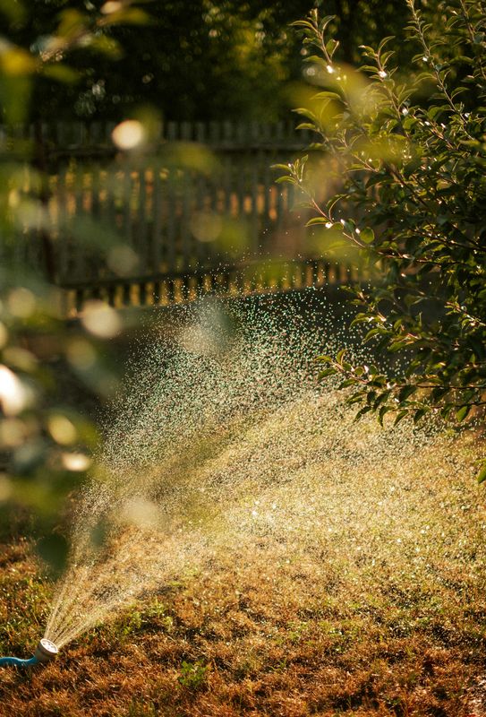 Lawn Maintenance