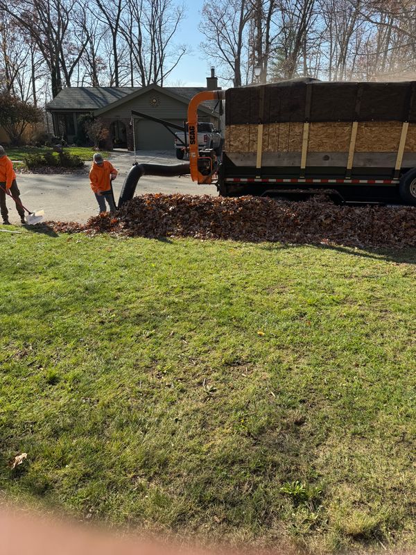 Spring & Fall Clean Up