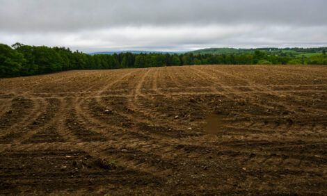 Land Clearing