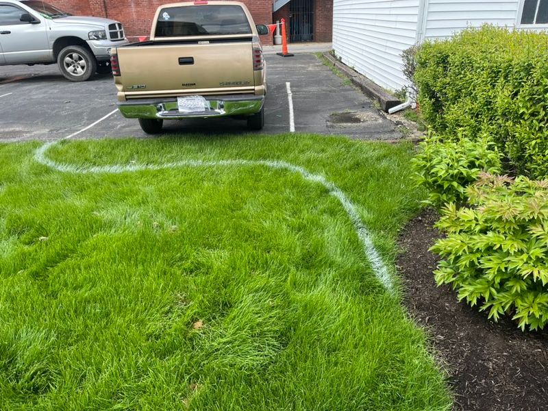 Lawn Maintenance