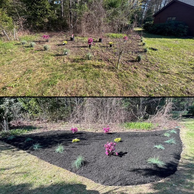 Landscape Design