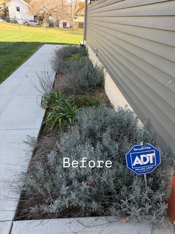 Shrub Trimming