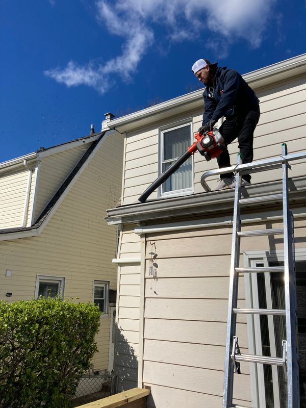 Gutter Cleaning