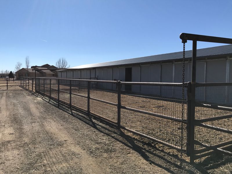 Pipe Fence