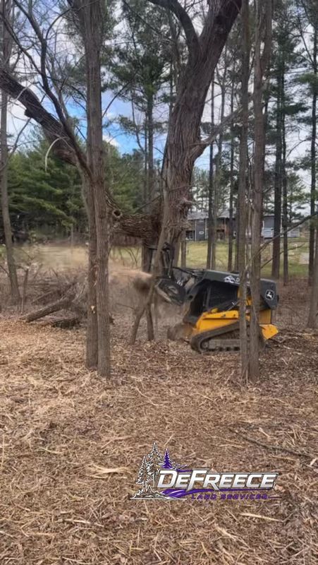 Tree Removal