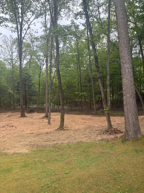 Land Clearing