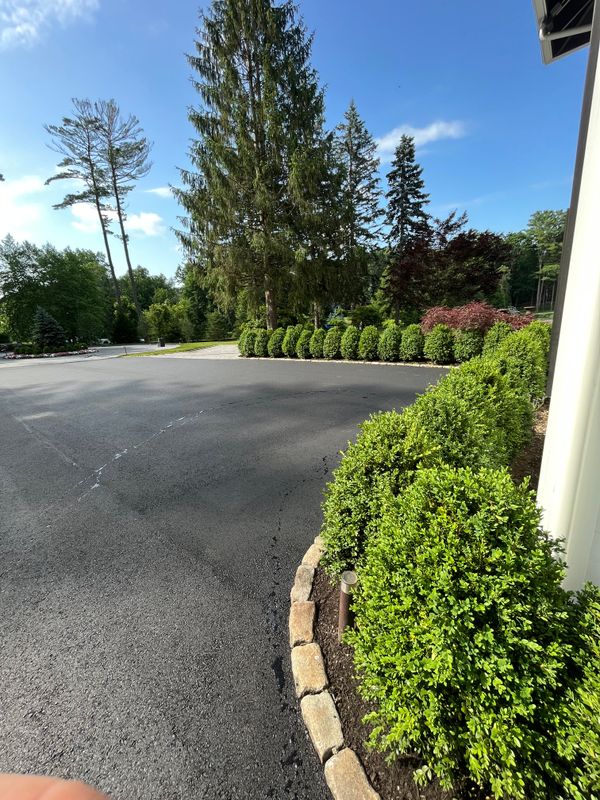 Tree & Shrub Care