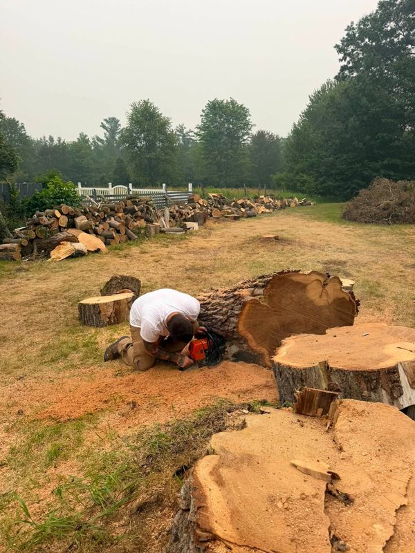 Tree Removal