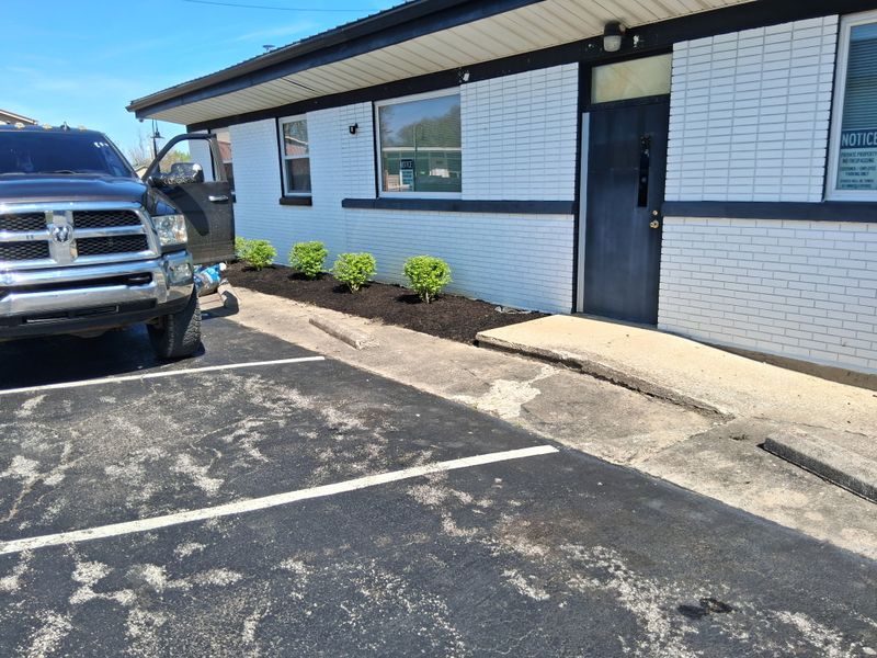 Tree & Shrub Care