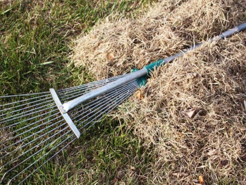 Spring and Fall Clean Up