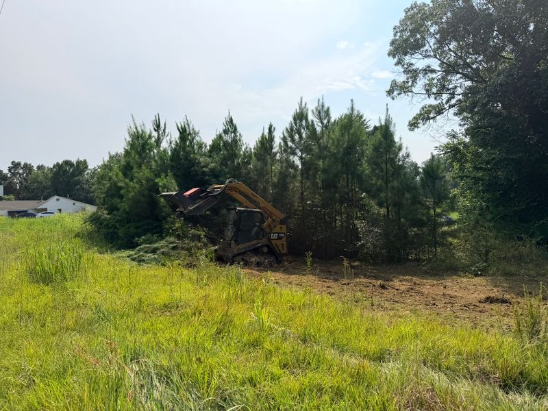 Forestry Mulching