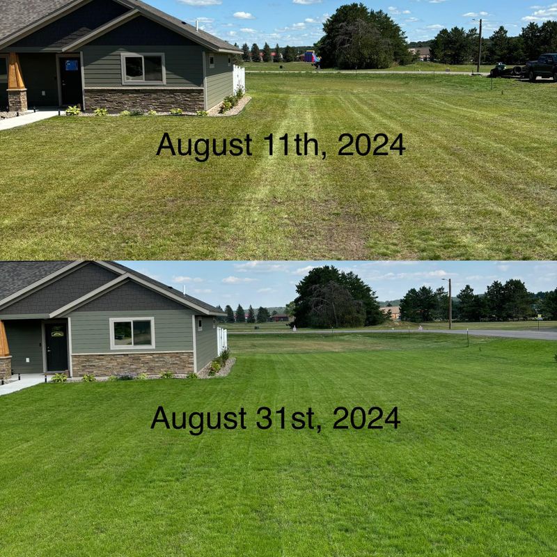 Lawn Seeding