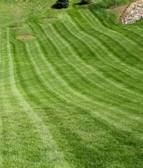 Lawn Maintenance