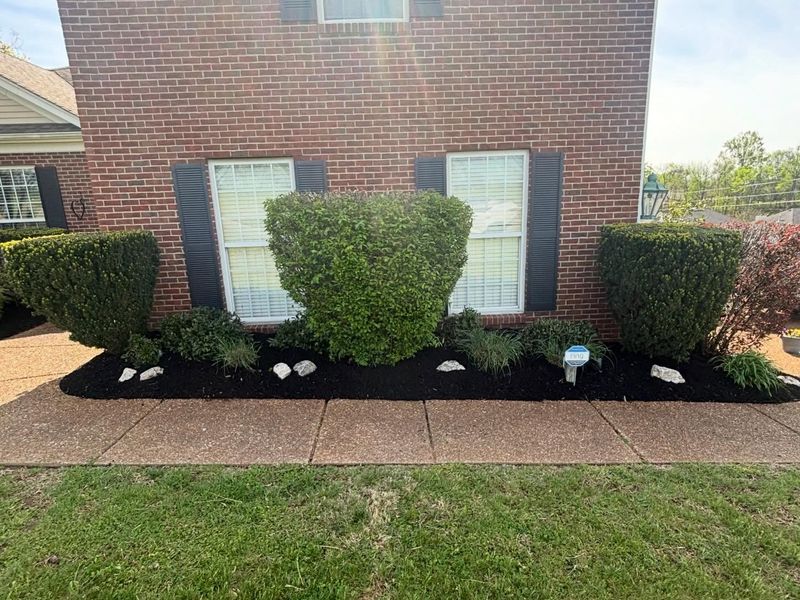 Lawn Maintenance