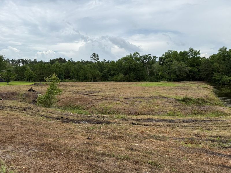 Land Clearing