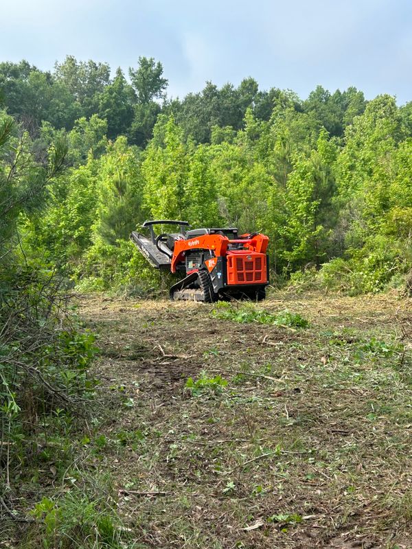 Brush cutting & Mulching