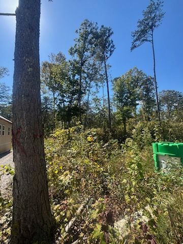 "Transforming Chaos into Opportunity: TD Dirtworks' Expert Land Restoration in Tracy City, TN"