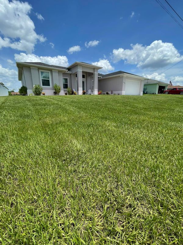 Lawn Maintenance 