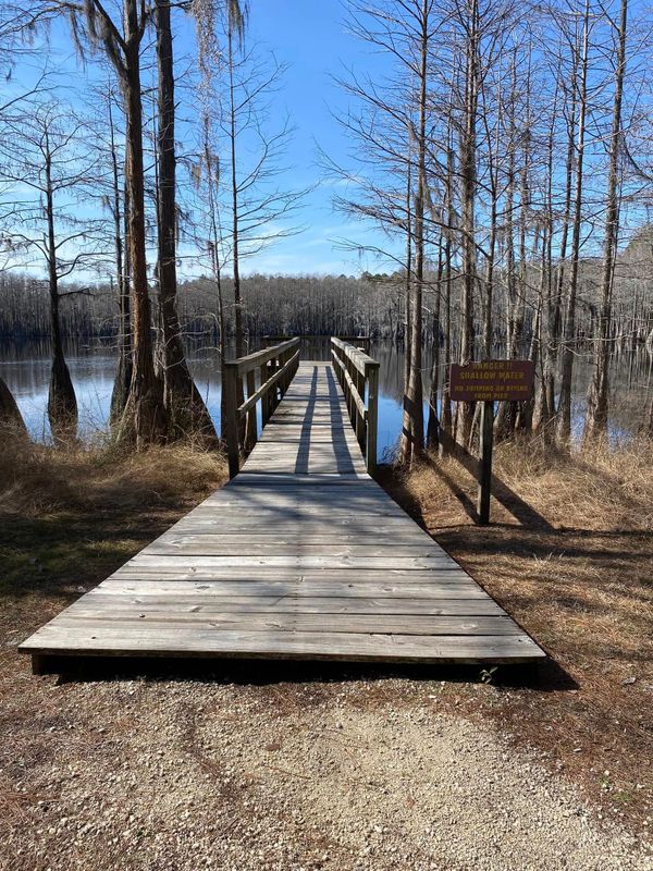 Pier and Dock Construction