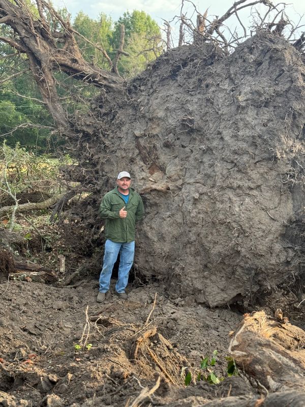 Land Clearing