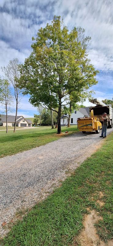 Tree Removal
