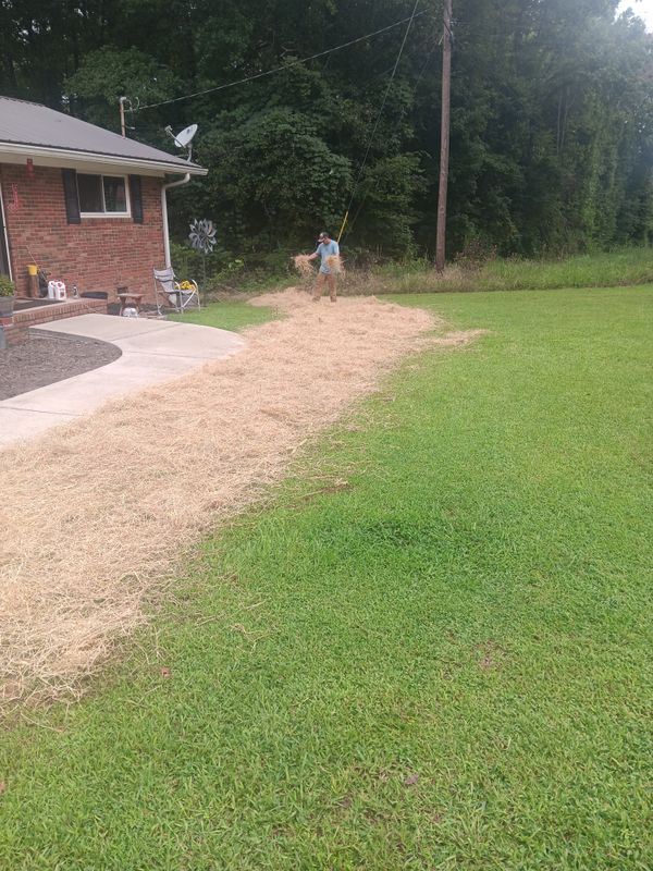 Dirt work and French drains