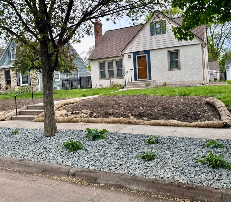 Shrub Removal