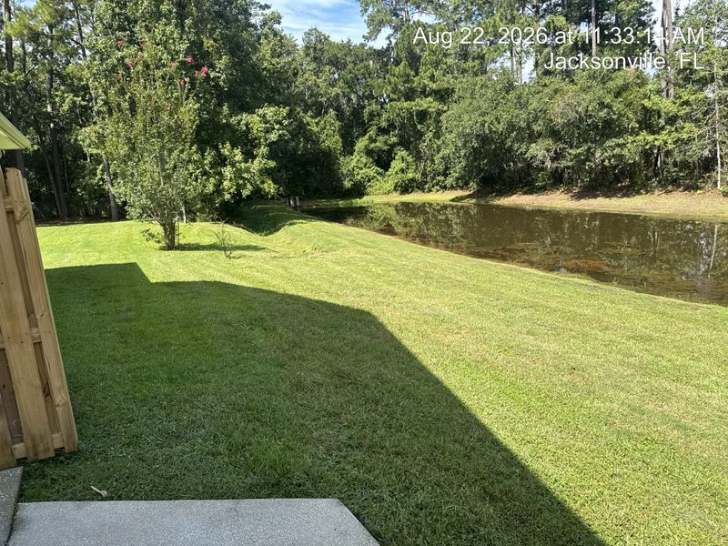 Lawn Care