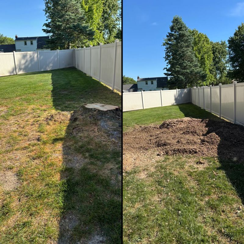 Stump Removal