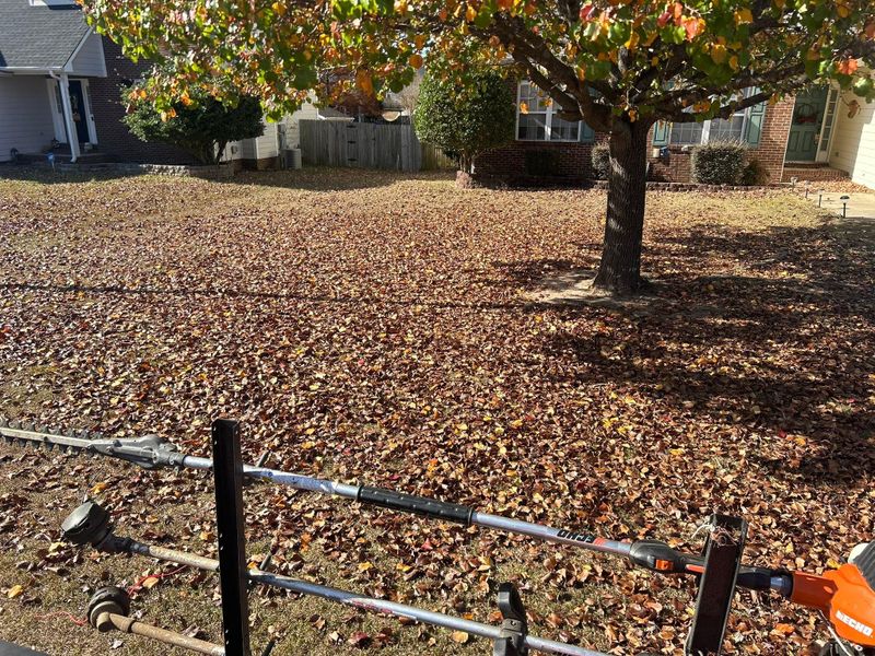 Fall Clean Up