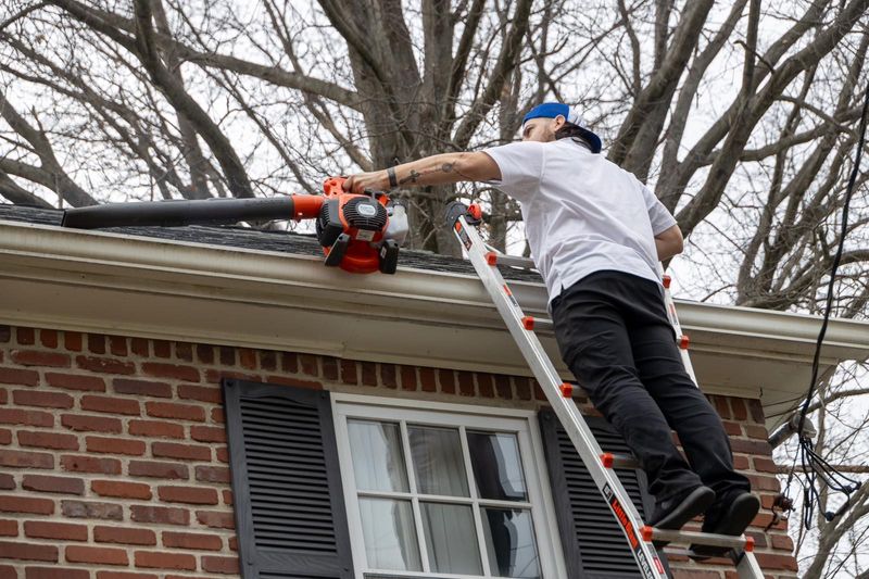 Gutter Cleaning