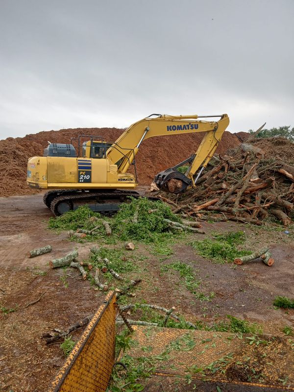 Tree Services